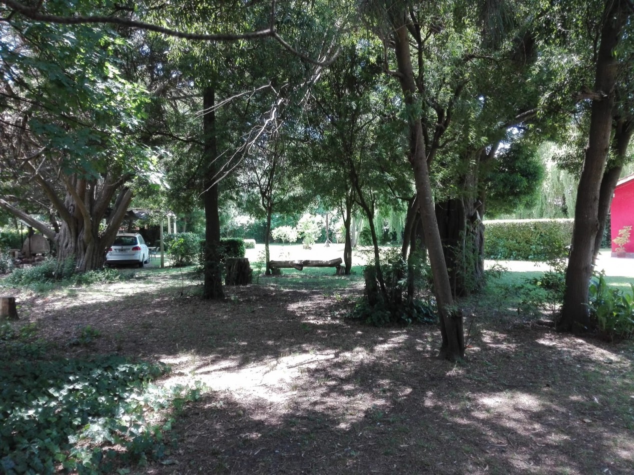 Venta  2200 mtrs  con pequeña cabaña 