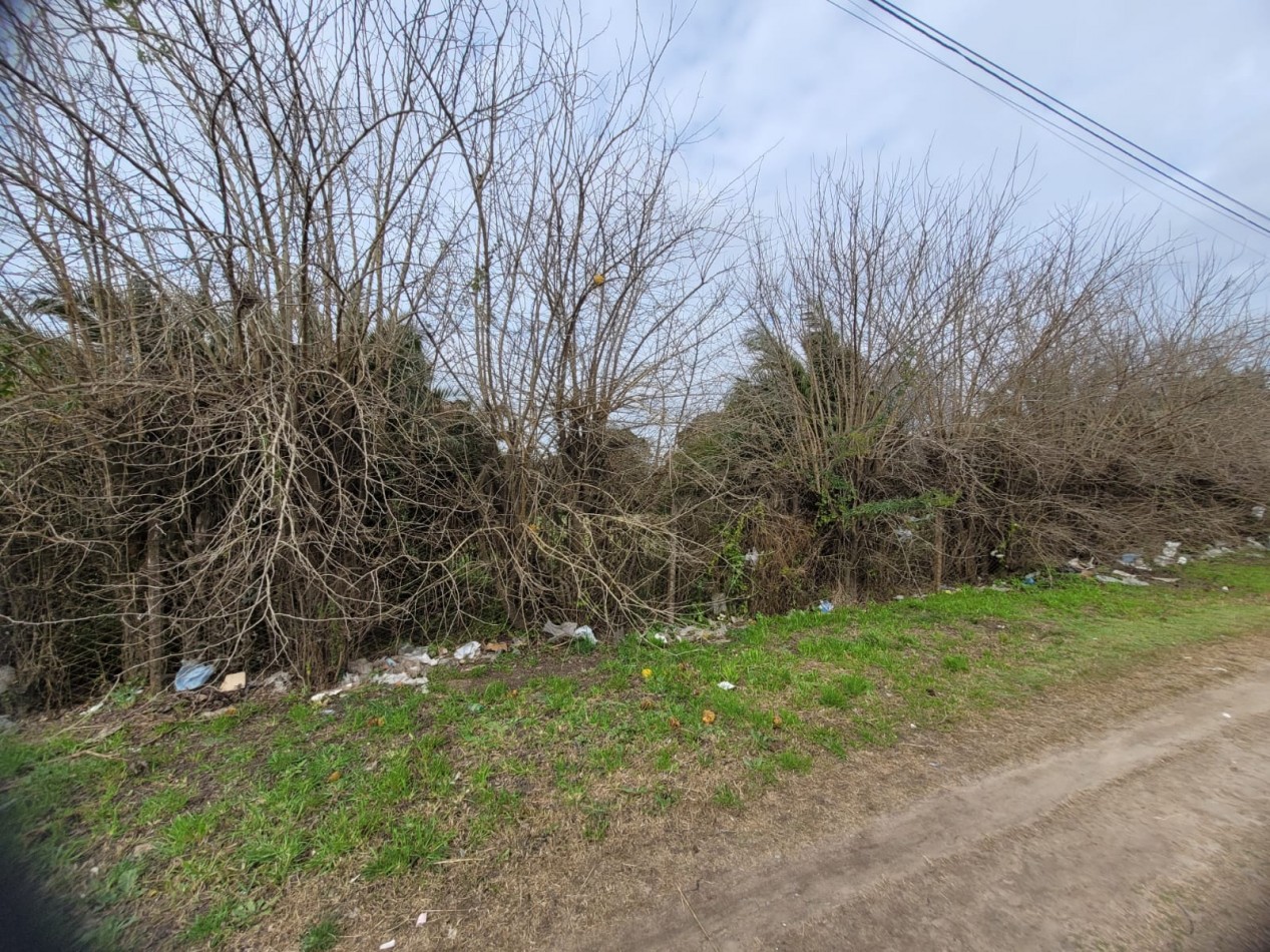 Venta Manza Completa  Av. Arturo Alio  entre Ituzaingo y Necochea