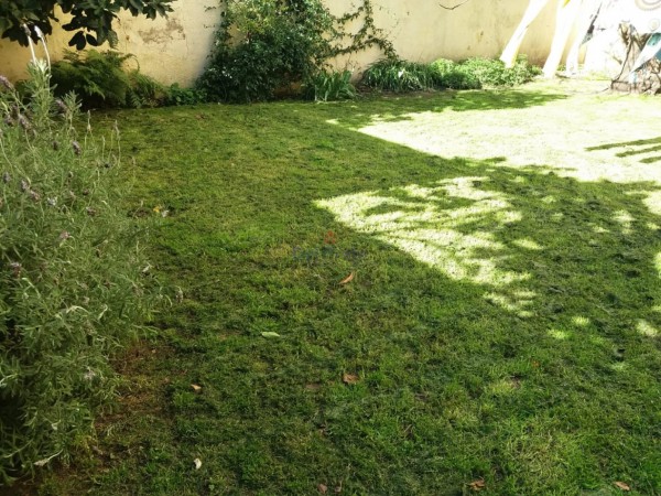 Venta Chalet Macrocentro
