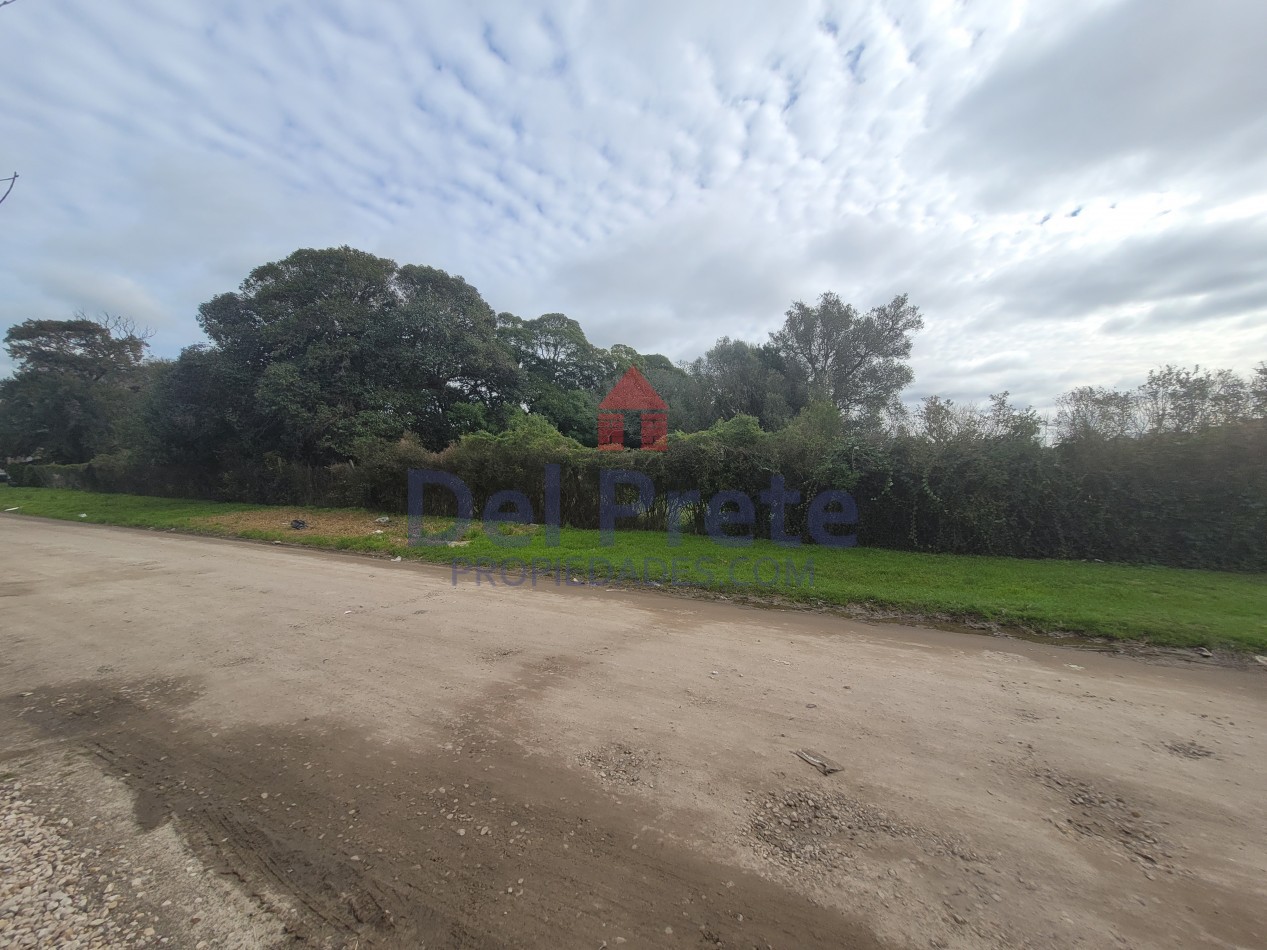 Venta  Manzana completa