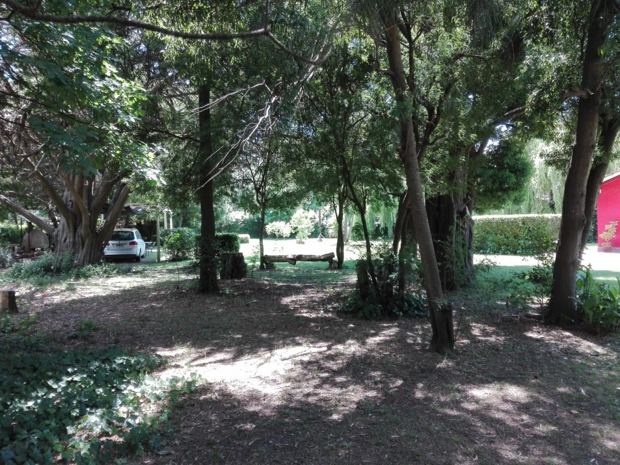 Venta  2200 mtrs  con pequeña cabaña 