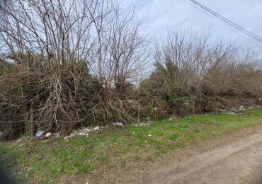 Venta Manza Completa Av. Arturo Alio entre Ituzaingo y Necochea
