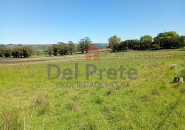 Venta  Campo  Paraje San Carlos 