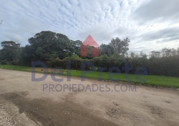 Venta Manzana completa